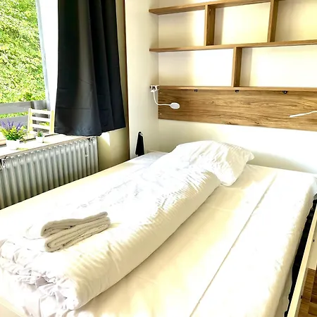 With Pool Sauna, Skiing *